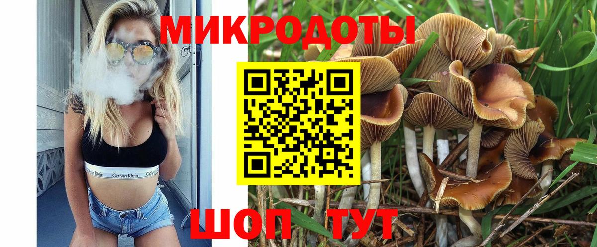 Свободный  Псилоцибиновые грибы Psilocybe  Вход с VPN 